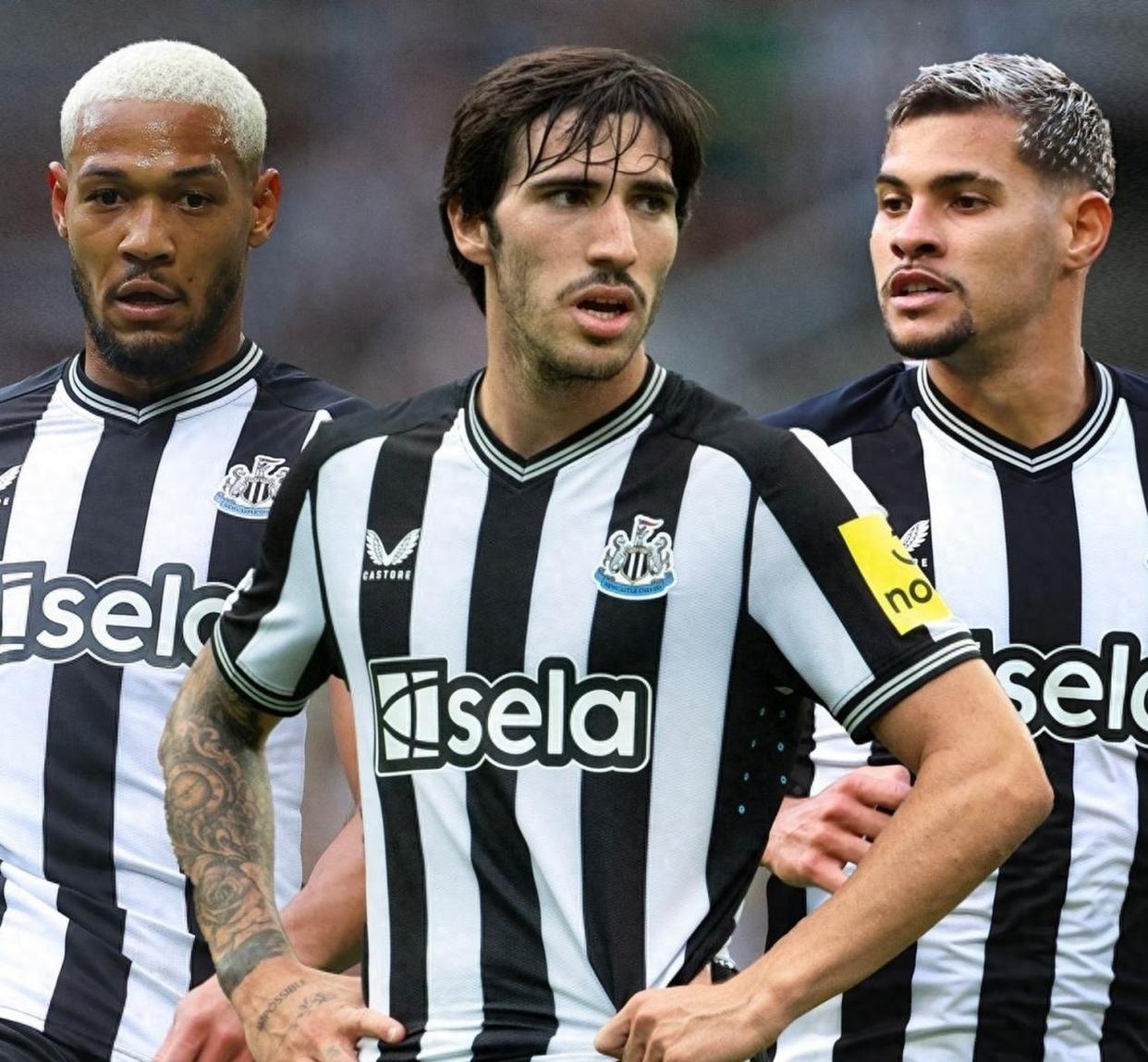 关于全明星赛倒计时，纽卡斯尔窗口期外线爆发，细节引发关注，底气十足，球队文化再被提及的信息